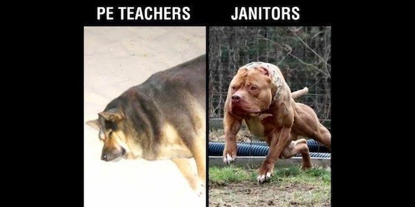So True (43 pics)