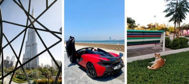 Interesting Facts About The United Arab Emirates (25 pics)