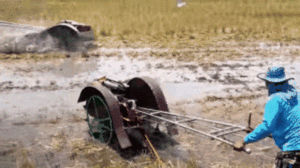 Wins And Fails (35 gifs)
