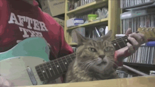Acid Gifdump, July 20 (25 gifs)
