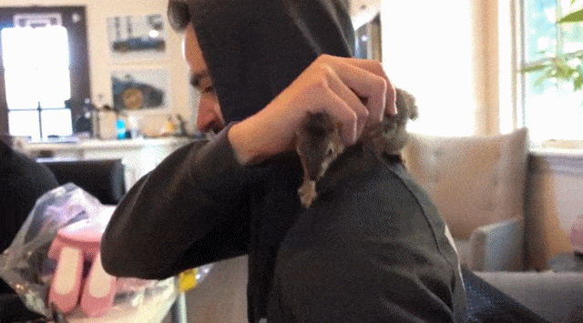 Acid Gifdump, July 20 (25 gifs)