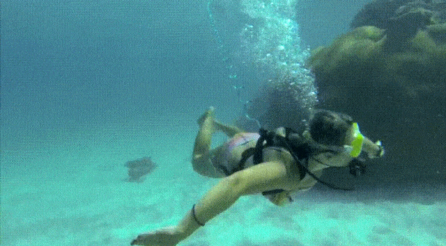 Acid Gifdump, July 20 (25 gifs)