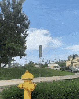 Acid Gifdump, July 20 (25 gifs)