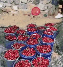 Acid Gifdump, July 20 (25 gifs)