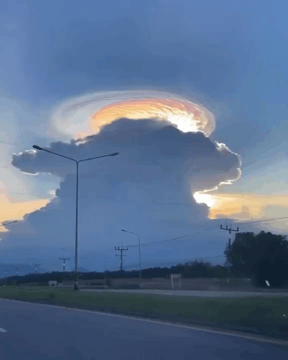 Acid Gifdump, July 20 (25 gifs)