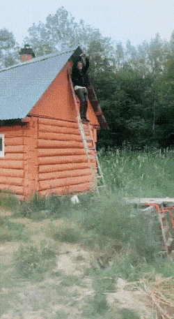 Acid Gifdump, July 20 (25 gifs)