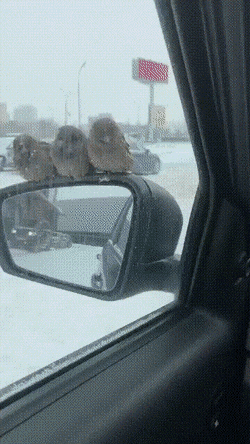Acid Gifdump, July 20 (25 gifs)