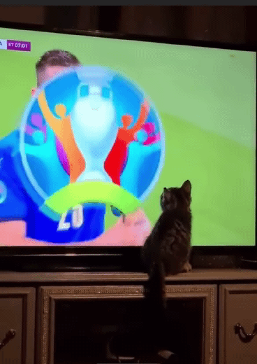 Acid Gifdump, July 20 (25 gifs)
