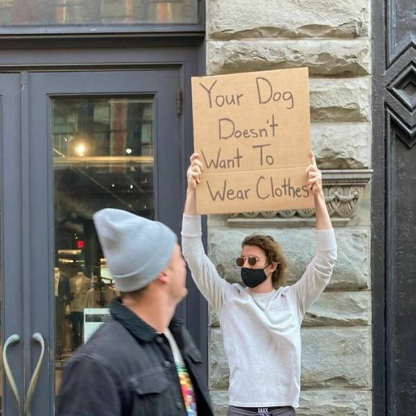 Dude With Signs (34 pics)