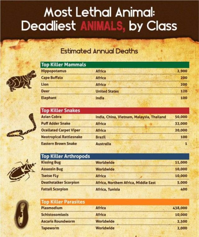 World's Most Deadliest Animals (8 pics)