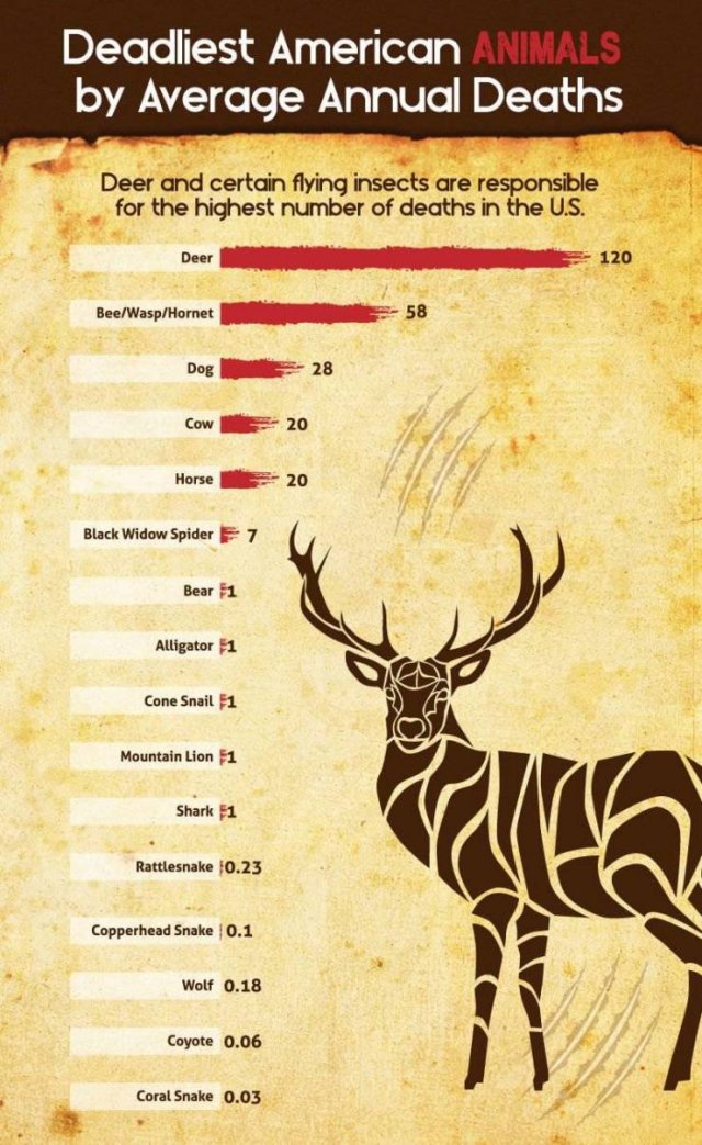 World's Most Deadliest Animals (8 pics)