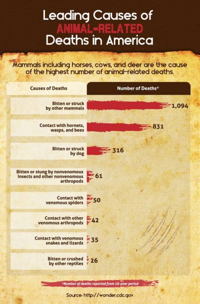 World's Most Deadliest Animals (8 pics)