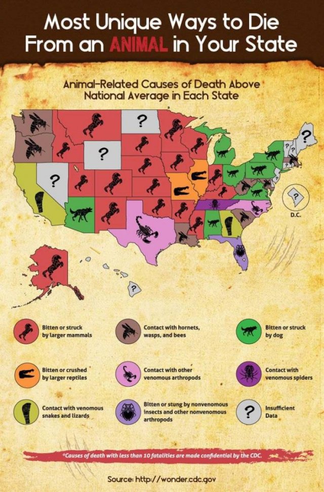 World's Most Deadliest Animals (8 pics)