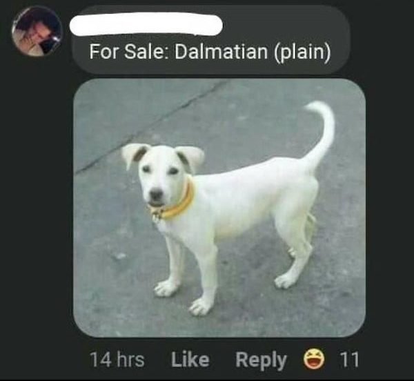 These People Know How To Sell (30 pics)