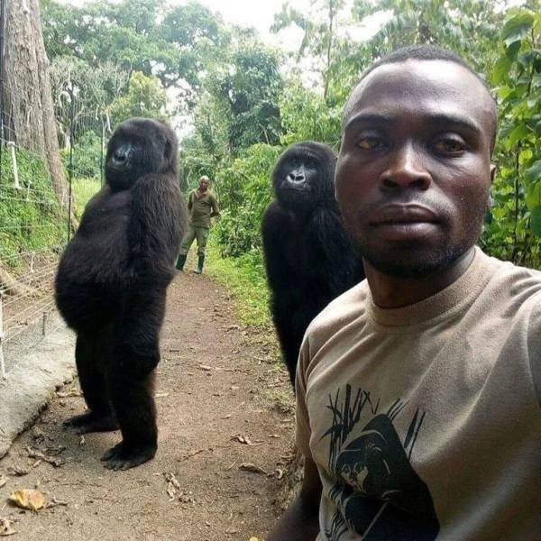 Acid Picdump 1 (87 pics)