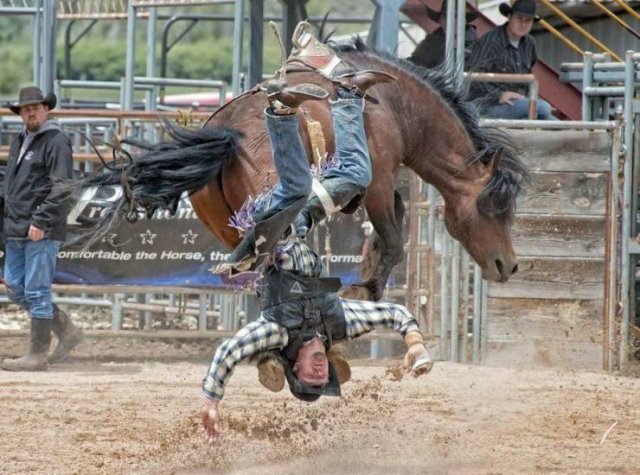 Acid Picdump 1 (87 pics)