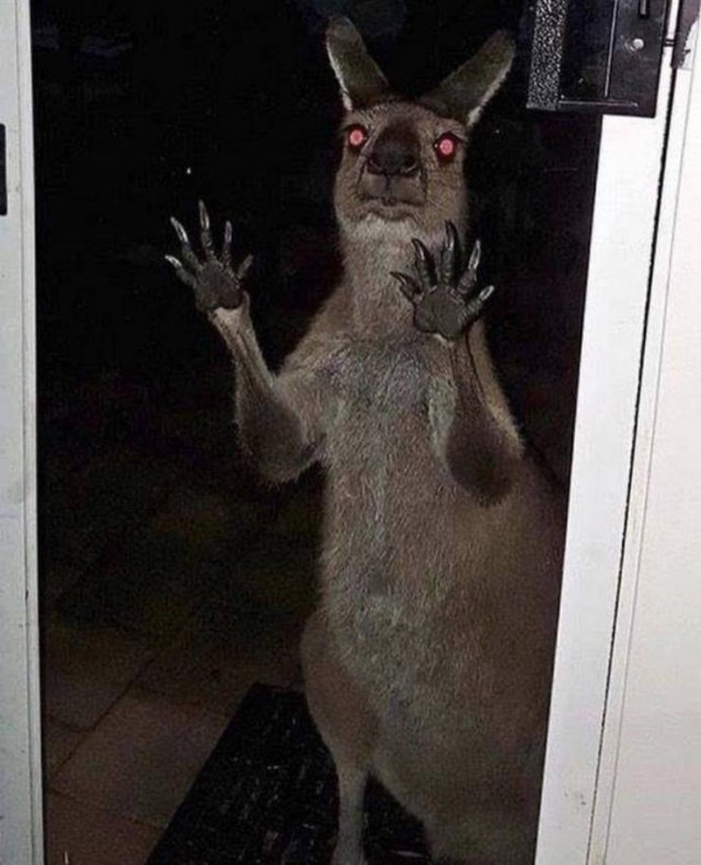 Acid Picdump 1 (87 pics)