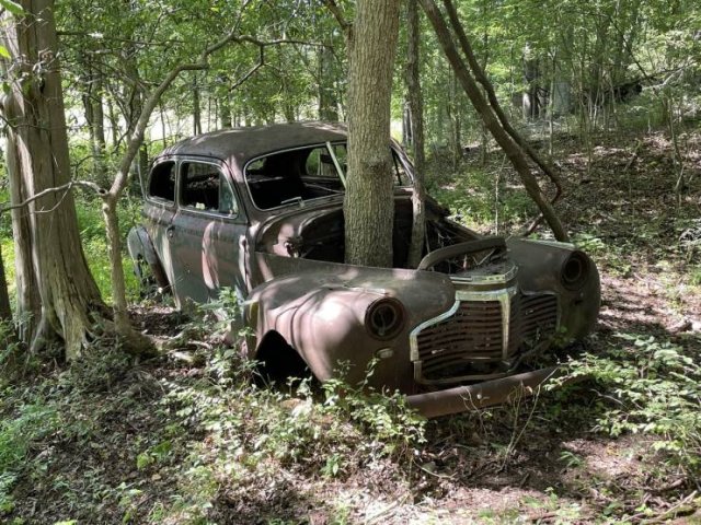 Acid Picdump 1 (87 pics)