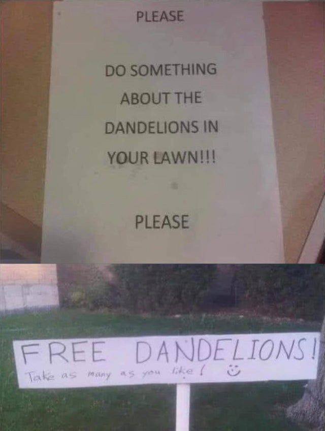 Acid Picdump 1 (87 pics)