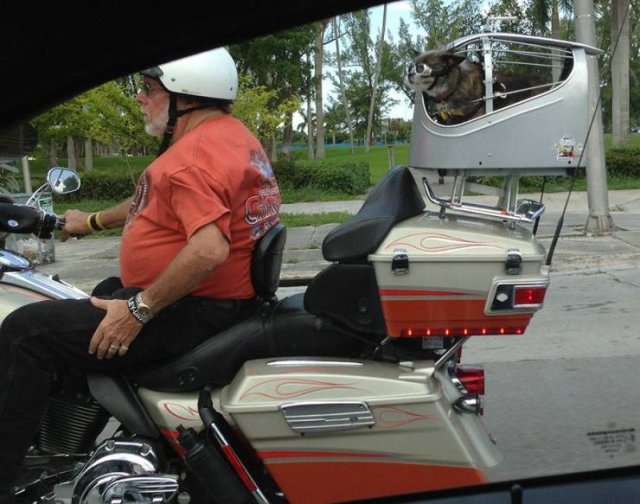 Acid Picdump 1 (87 pics)