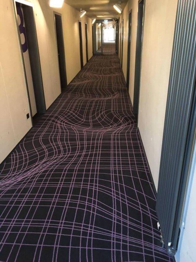 Look Twice (17 pics)