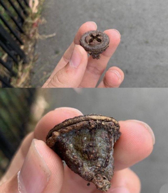 Look Twice (17 pics)