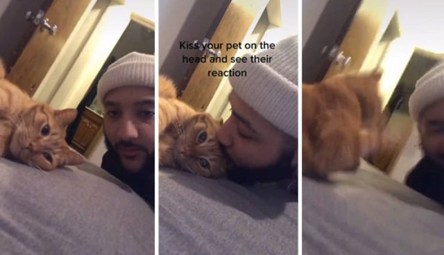 Unexpected Kisses (45 pics)