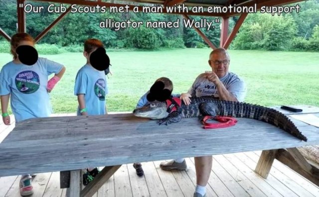 Acid Picdump 2 (82 pics)