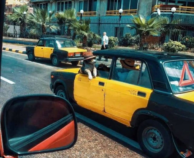 Acid Picdump 2 (82 pics)