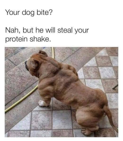 Acid Picdump 2 (82 pics)