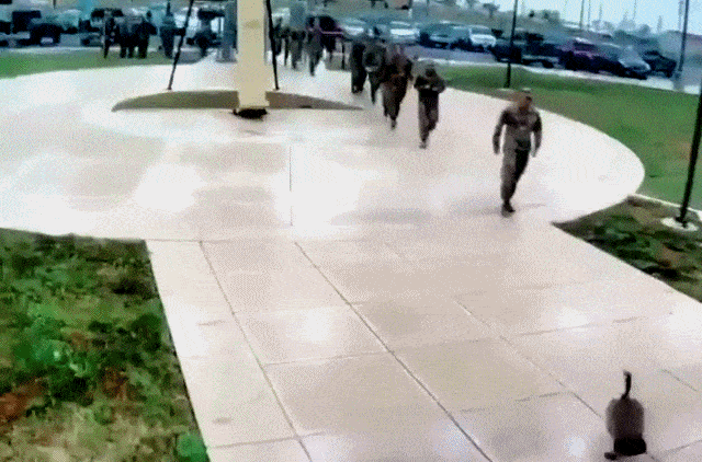 Acid Gifdump, July 22 (25 gifs)