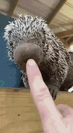 Acid Gifdump, July 22 (25 gifs)