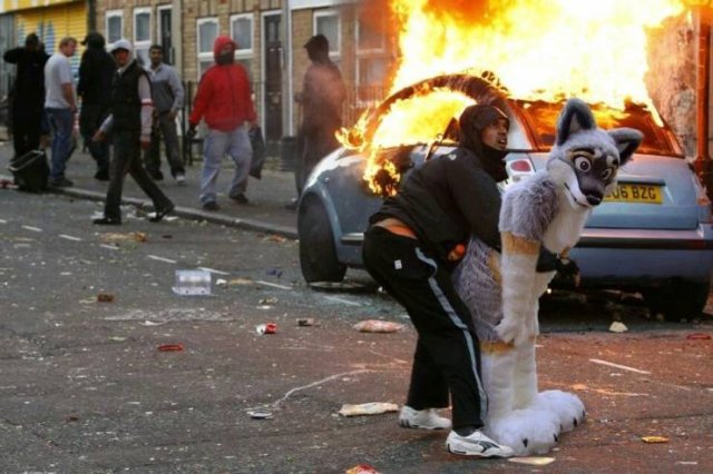 Acid Picdump 2 (82 pics)