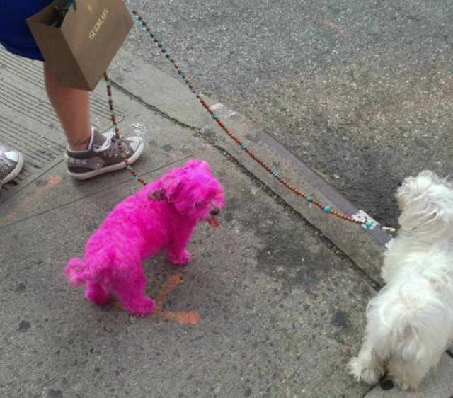Acid Picdump 2 (82 pics)