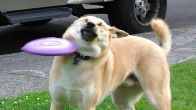 Acid Picdump 2 (82 pics)