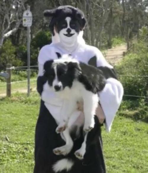 Acid Picdump 2 (82 pics)