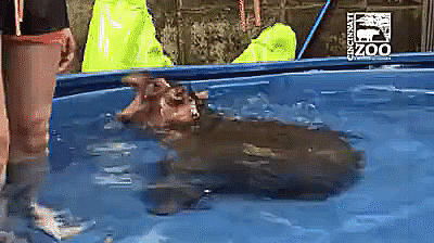 Acid Gifdump, July 23 (25 gifs)