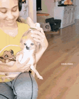 Acid Gifdump, July 23 (25 gifs)