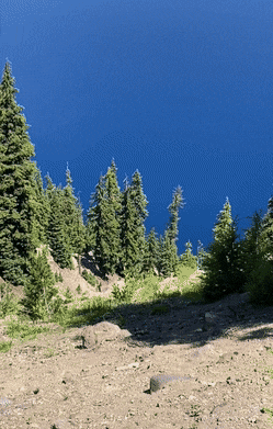 Acid Gifdump, July 23 (25 gifs)