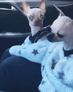 Acid Gifdump, July 23 (25 gifs)
