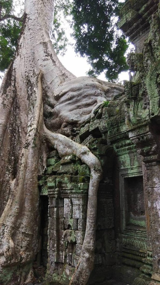Acid Picdump 2 (87 pics)