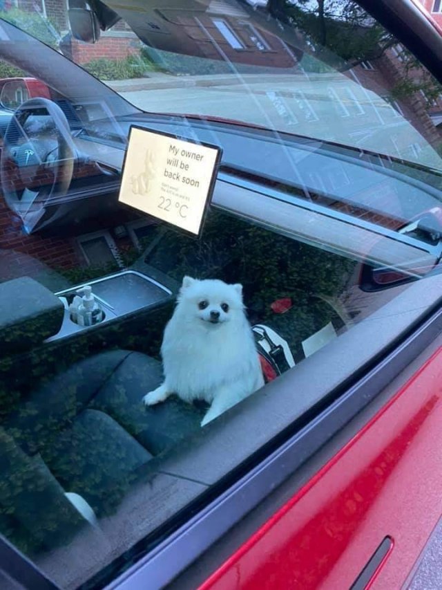 Acid Picdump 2 (87 pics)