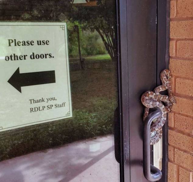 Acid Picdump 2 (87 pics)