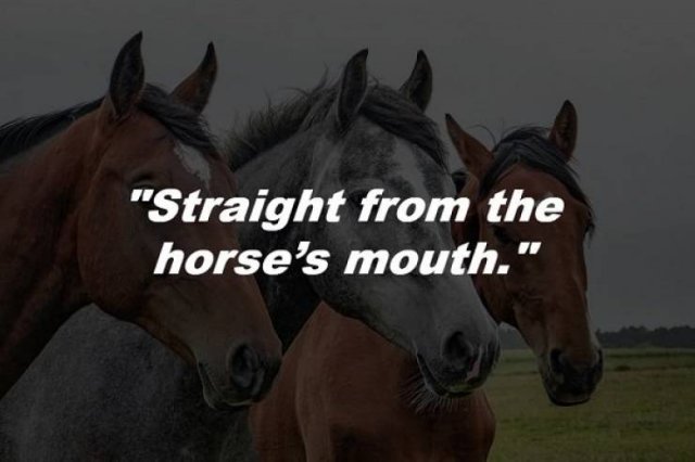 The Origins Of Everyday Phrases (13 pics)