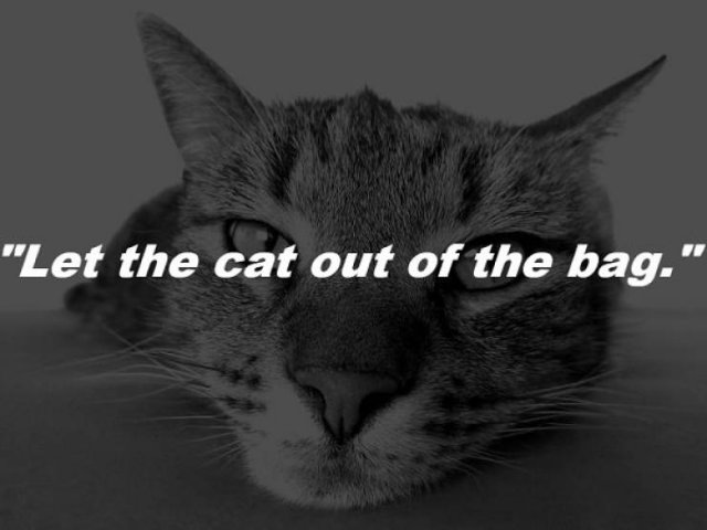 The Origins Of Everyday Phrases (13 pics)