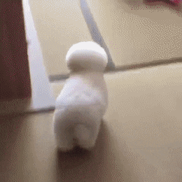 Funny Animals (54 pics)