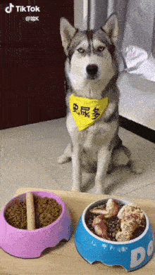 Funny Animals (54 pics)