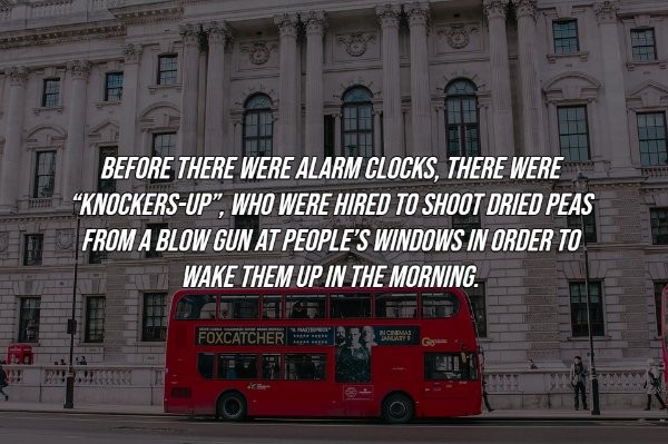 History Facts (16 pics)