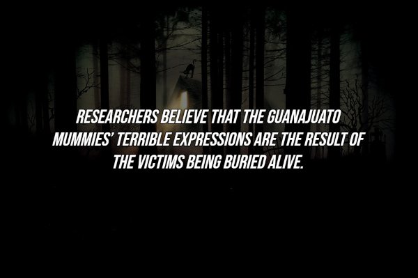 History Facts (16 pics)