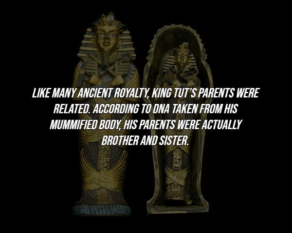 History Facts (16 pics)